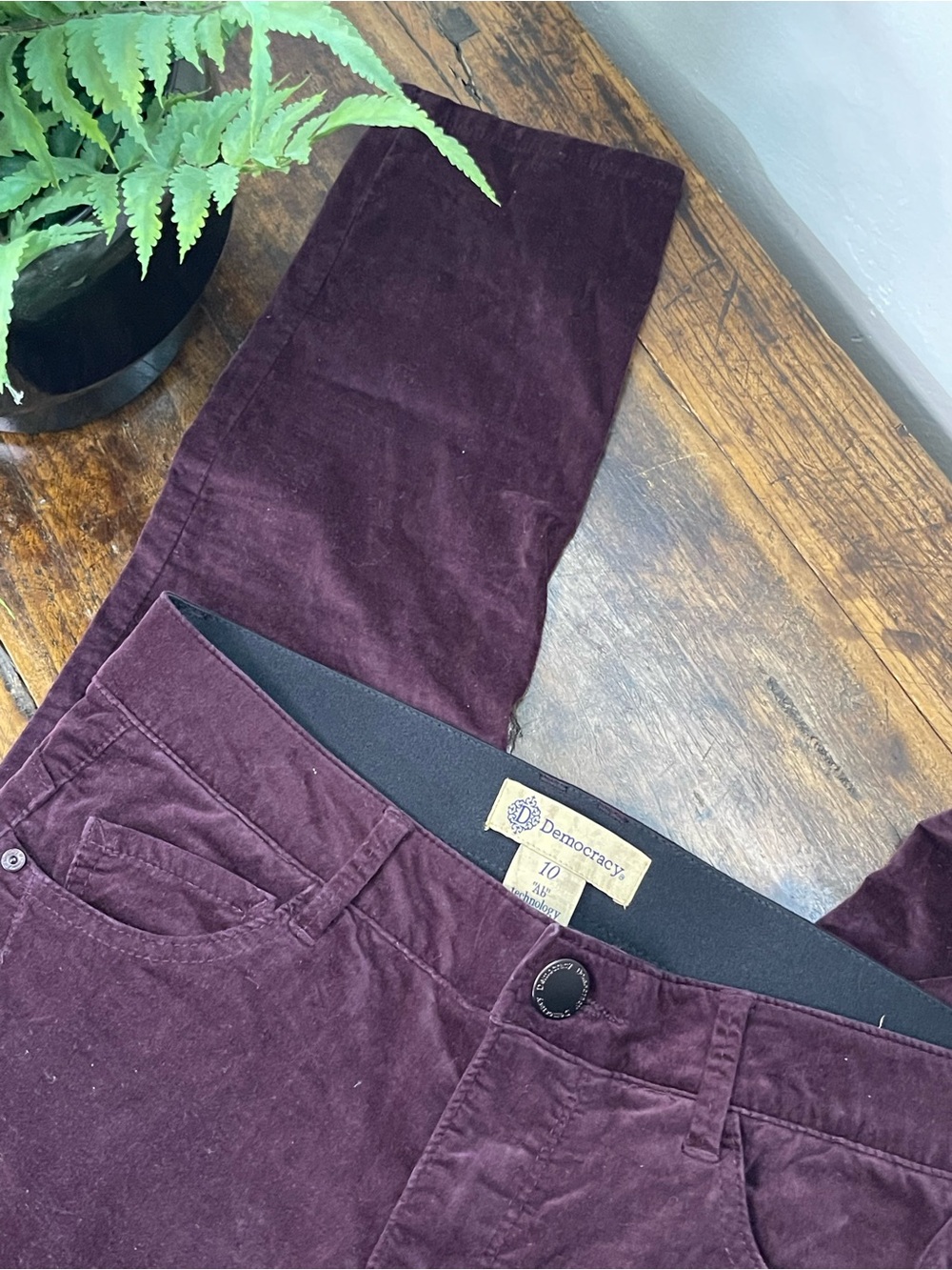 Democracy “Ab Technology” Velvet Pants in Deep Plum